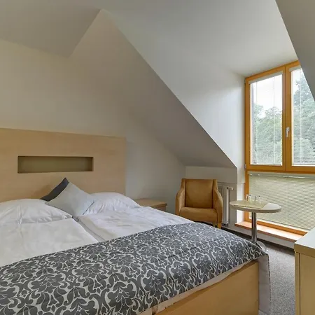 Hotel U Pramenu 4*