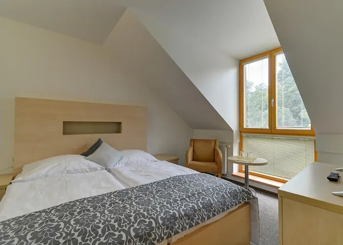 Hotel U Pramenu 4*