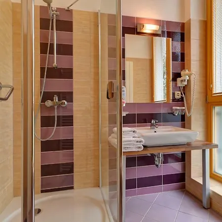 Hotel U Pramenu 4*
